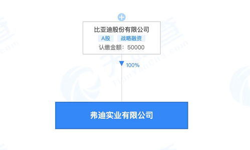 比亞迪成立弗迪實業，布局人工智能軟件與基礎開發
